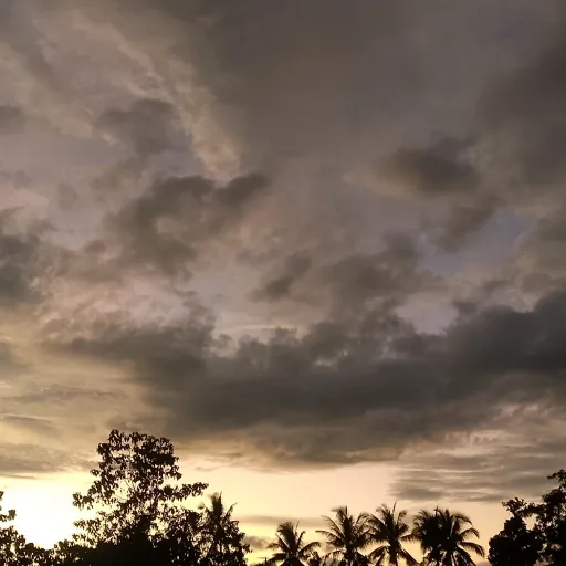 creator Ruby_Rainy❤️❤️'s avatar