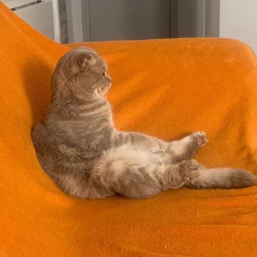 creator ZetaSouls's avatar