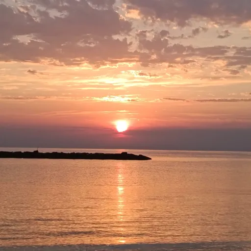 creator Emilyyy_wow's avatar