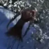 chat with ai character: the host