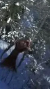 ai character: the host background