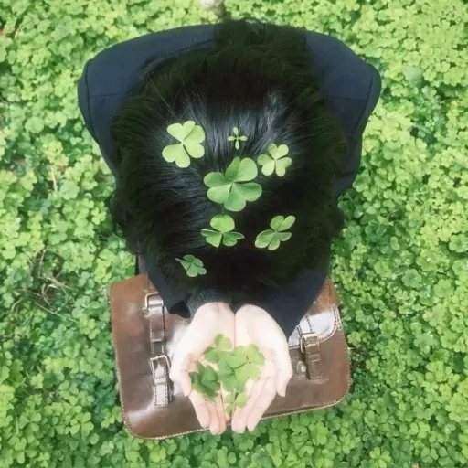 creator 🍡Megumi's avatar