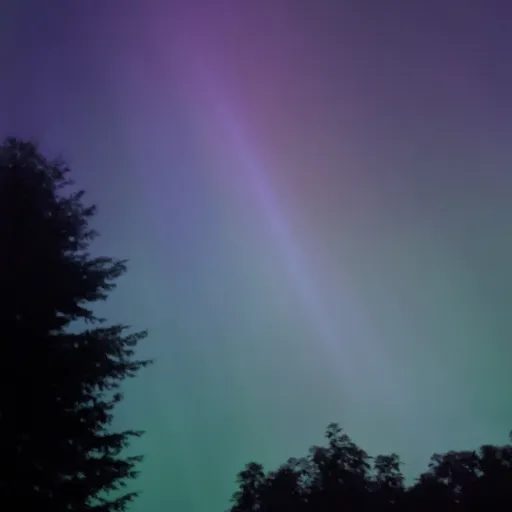 creator the good guy's avatar