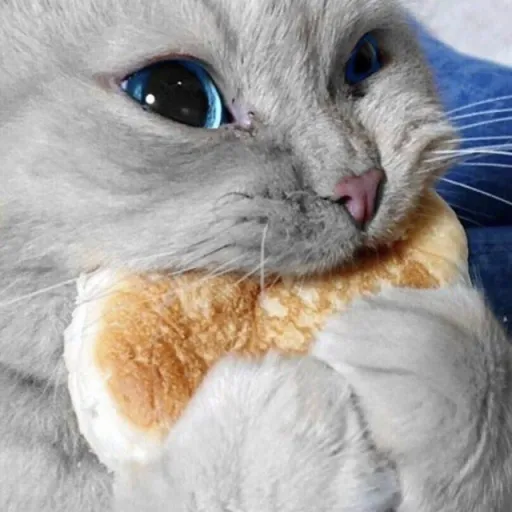 creator •|xen|•'s avatar