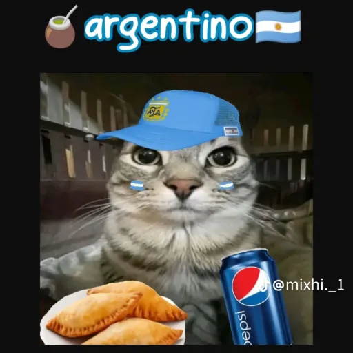 creator Talkior-SAazaRHK's avatar