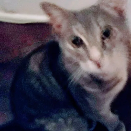 creator Idkwhattoput_586's avatar