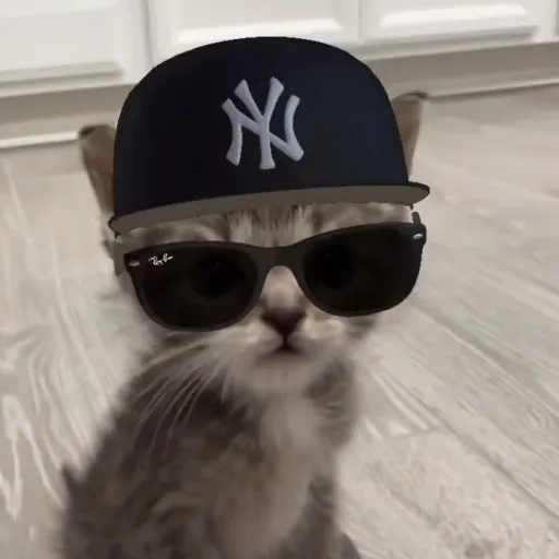 creator yoila's avatar