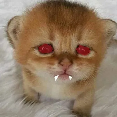 creator big poo😆's avatar