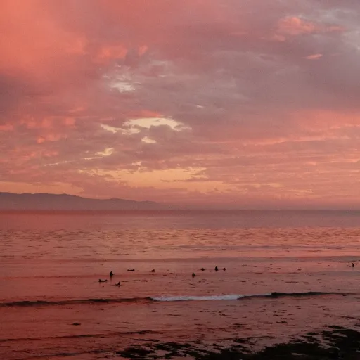 creator ~🌺🦋BUTTERFLY🌺🦋~'s avatar