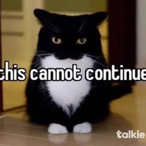 creator sweetness pie's avatar