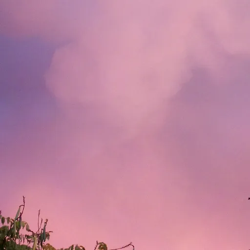 creator Talkior-fL0XnDeQ's avatar