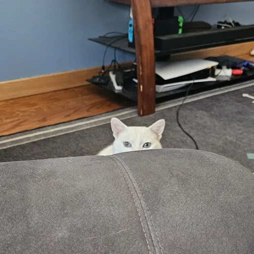 creator DEE_ROSE🌹's avatar