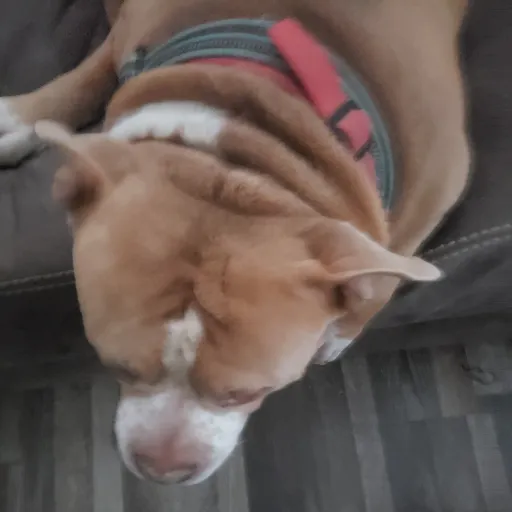 creator 🌠ink🌠's avatar