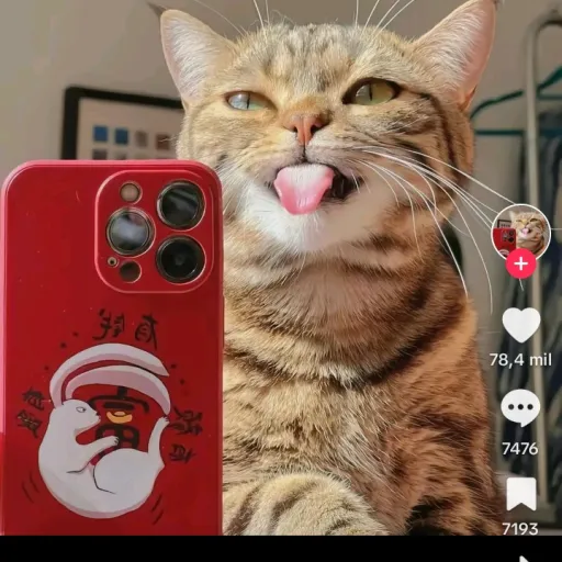 creator la esmeraldas's avatar