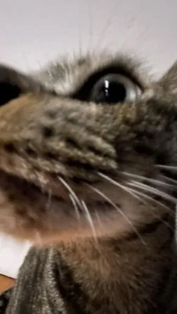 ai character: {{ Forest }} background