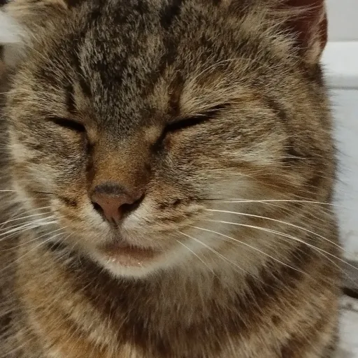 creator 💅👁️🫦👁️💅Heyy's avatar