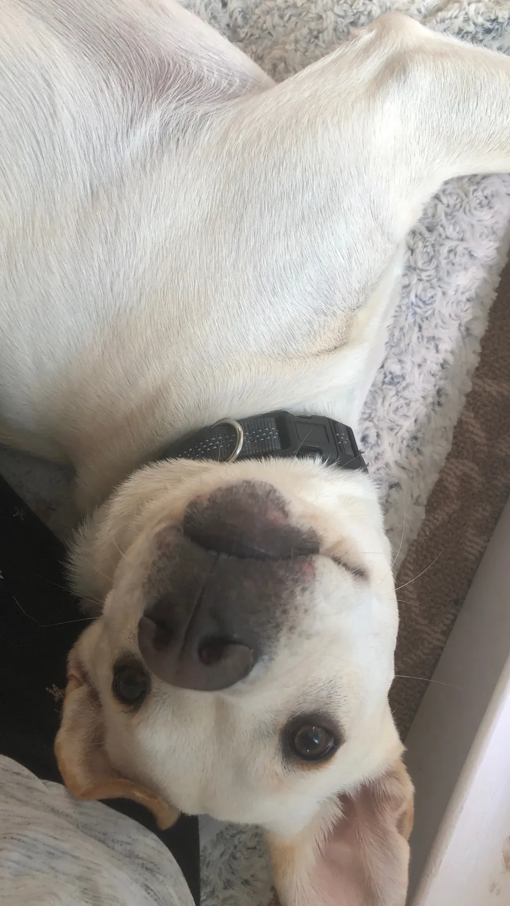 ai character: River pt2 background