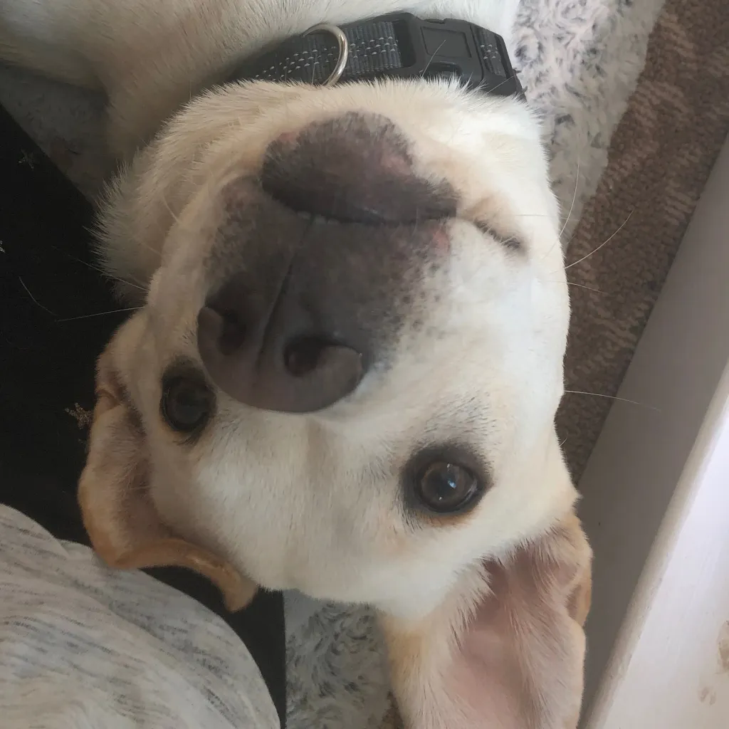 chat with ai character: River pt2