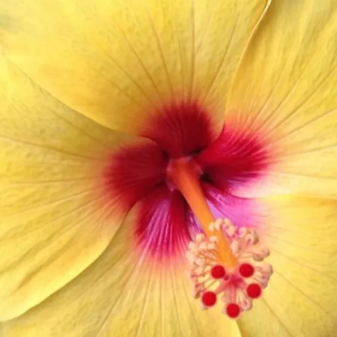 chat with ai character: Mariel