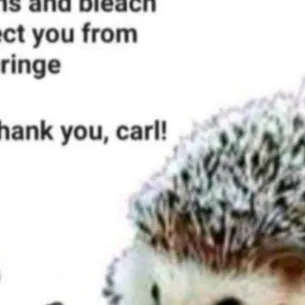 chat with ai character: CARL