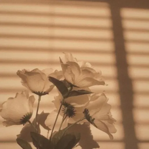 creator RANDOM_PRINCESS's avatar