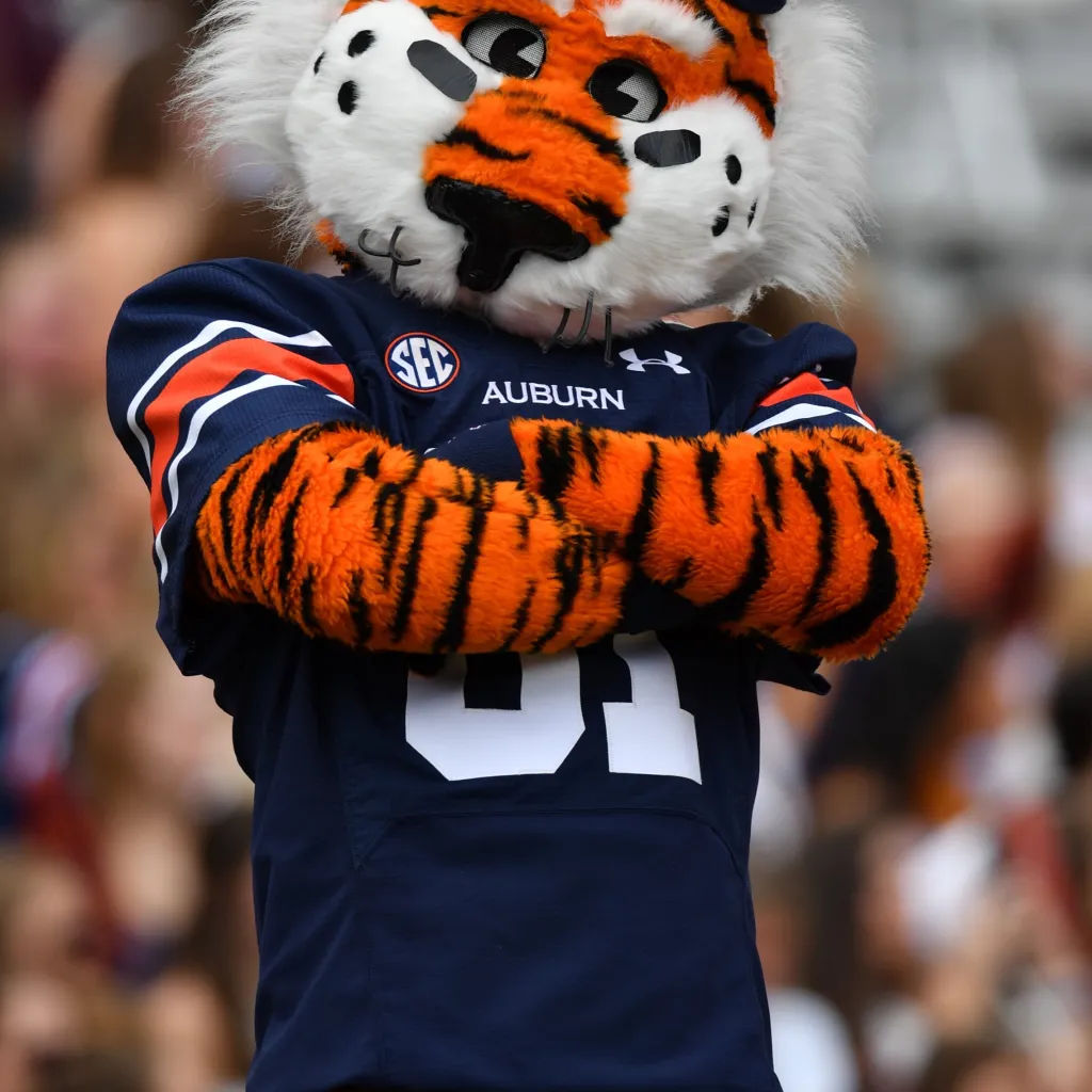 chat with ai character: Alex/ Aubie