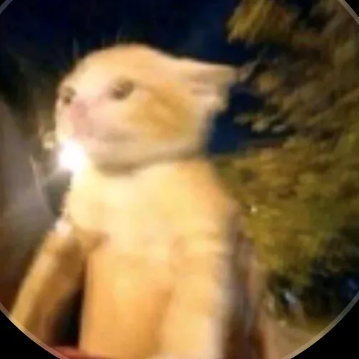 creator random talkies123's avatar