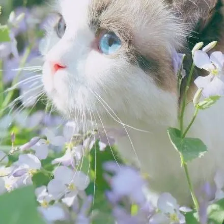 creator ALEEssi😄🔥🌸's avatar