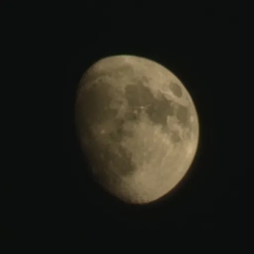 creator ♡Moonlight-Cheese♡'s avatar