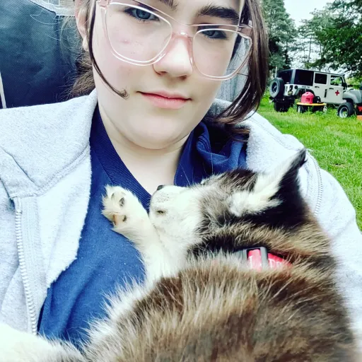 creator Abigail niko's avatar