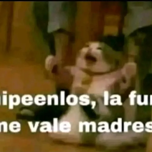 creator loca de por vida's avatar