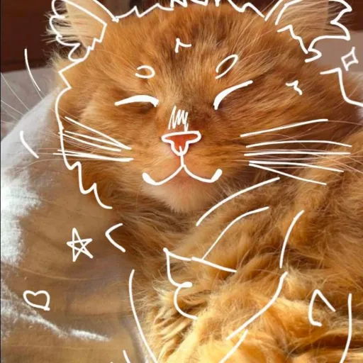 creator Andrew_fall_out 4's avatar