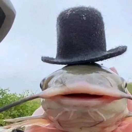 creator Talkior-A63JxUbz's avatar