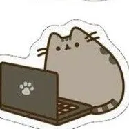 creator shimili castle's avatar