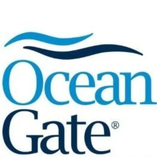 creator ROBLOX🇺🇸:'s avatar