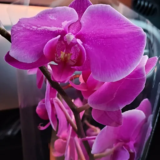 creator Talkior-KZ4o8NcD's avatar