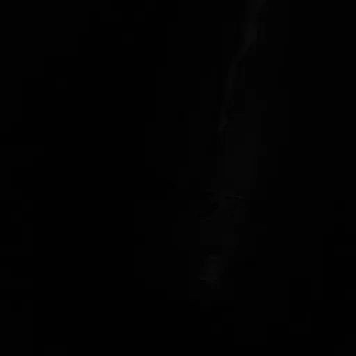 creator Valerinahehe's avatar