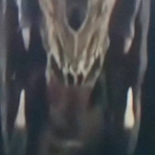 creator black the yautja.'s avatar