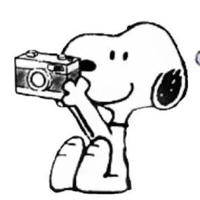 creator boo22's avatar