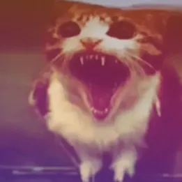 creator Misabara's avatar