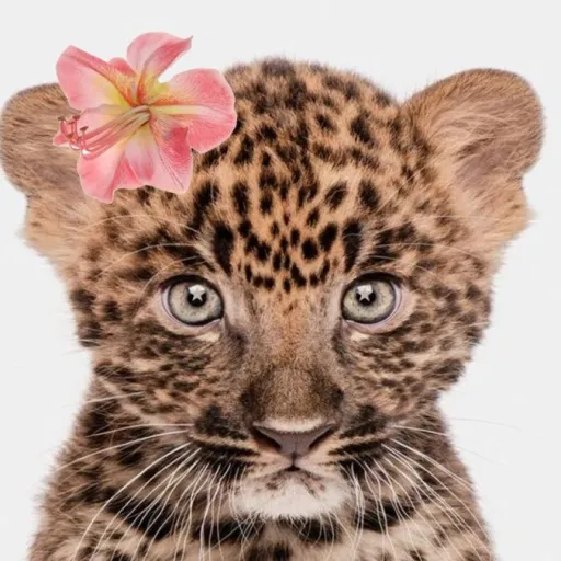 creator urfavgabby's avatar