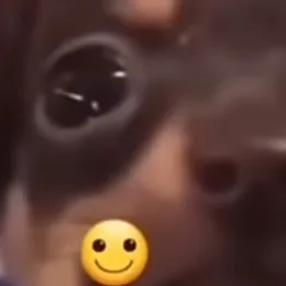 chat with ai character: Tom