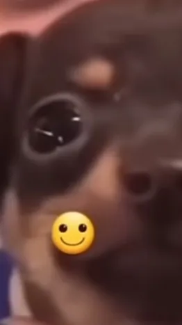 ai character: Tom background