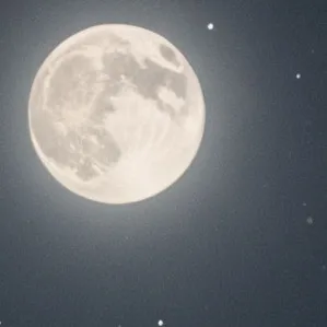 chat with ai character: Sp hates you?