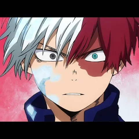 creator Shoto_TODOROKI0284's avatar