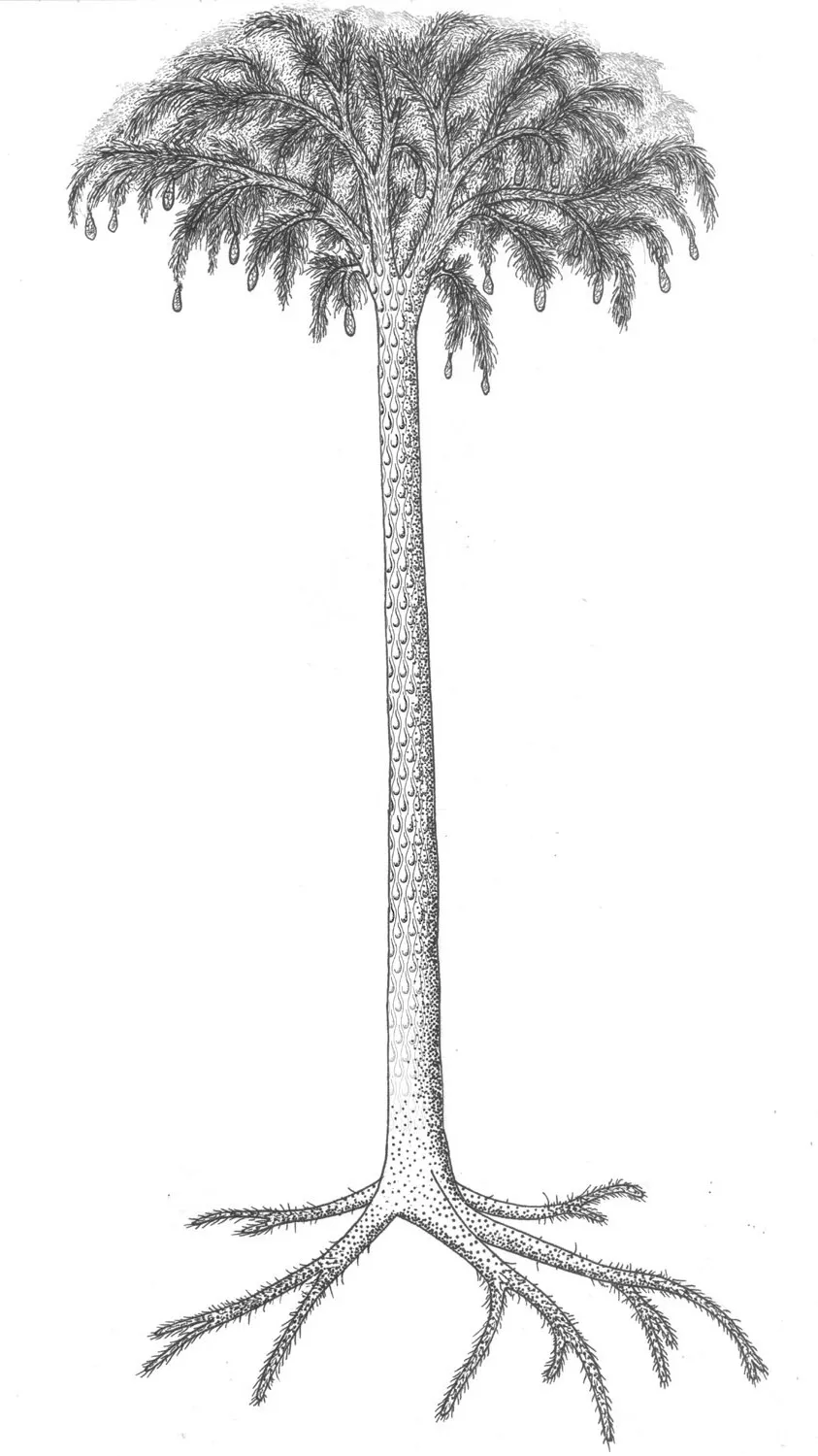 ai character: LEPIDODENDRON TREE background