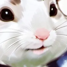 chat with ai character: FrostMonarchChomik