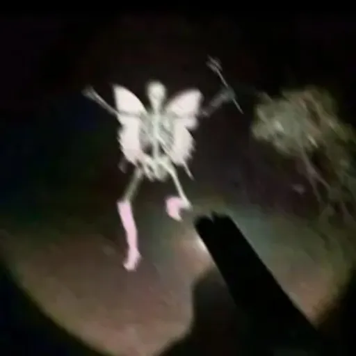 creator Talkior-t3cvBA8o's avatar