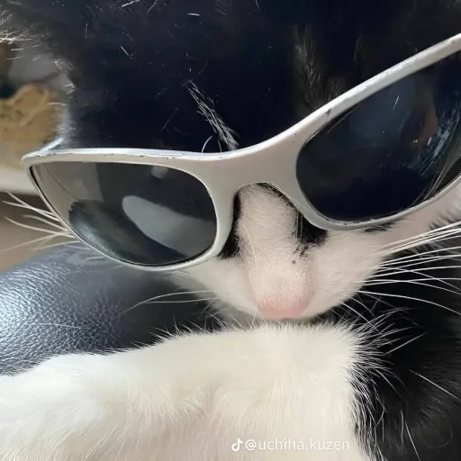 creator ♥︎━╣🖤Zin🖤╠━♥︎'s avatar