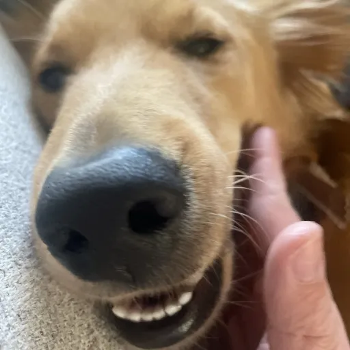 creator addisonparker860's avatar